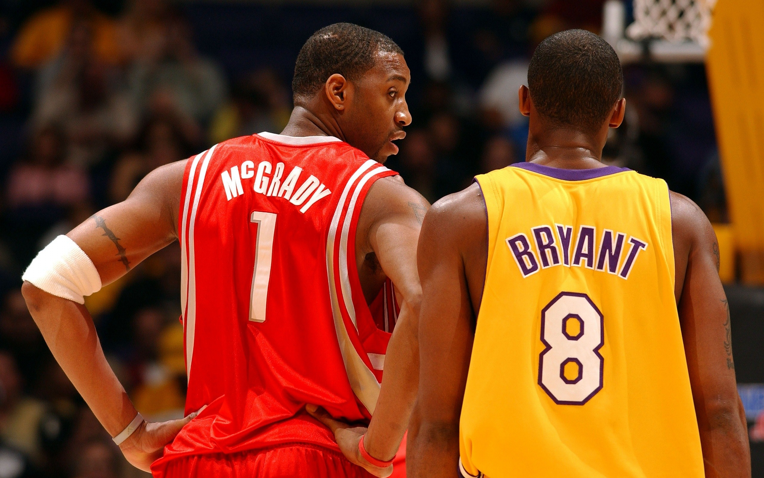 全磁悬浮搅拌器